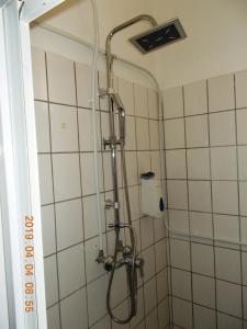 a shower with a hose in a bathroom at Thelena Apartman in Tolna