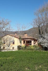 a house with a yard with trees and a field at Il Casaletto in Acquasparta