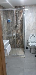 伊斯坦堡的住宿－Arya Hotel，带淋浴、卫生间和盥洗盆的浴室