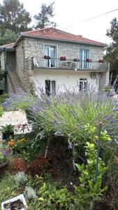 Apartments Duras في Gruda: حديقة بها زهور أرجوانية أمام المنزل