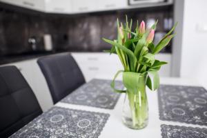Fotografia z galérie ubytovania Apartamenty Sun & Snow Kopernika v destinácii Międzyzdroje