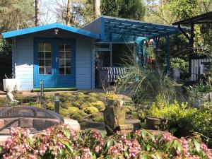 a blue shed with a garden in front of it at Kunstenaars Boshuisje Veluwe in Hoenderloo