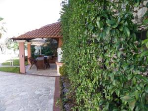 un gran arbusto verde junto a un pabellón en Erodios Guesthouse, en Kato Loutraki