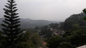 a view of a valley with a tree at KANDY Holiday Residence in Kandy