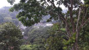 vistas a una montaña con árboles y edificios en KANDY Holiday Residence, en Kandy