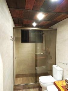 La salle de bains est pourvue de toilettes et d'une douche en verre. dans l'établissement Cabaña Panambi, à Villa Serrana