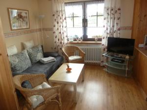 a living room with a couch and a tv at Ferienwohnung Lotti in Brotterode