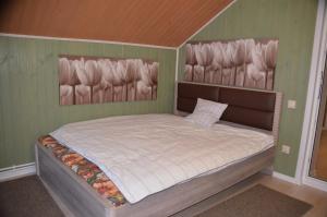 a bed in a room with green walls at Lubimiy Prichal in Zaborki