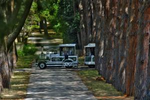Fotografie z fotogalerie ubytování Brijuni Rooms Karmen v destinaci Fažana
