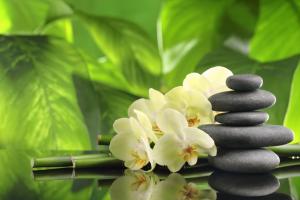 Afbeelding uit fotogalerij van Hotel Rondo in Wąbrzeźno