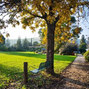 ławka siedząca obok drzewa w parku w obiekcie Amiad Joseph Well Country Inn w mieście Ammiad