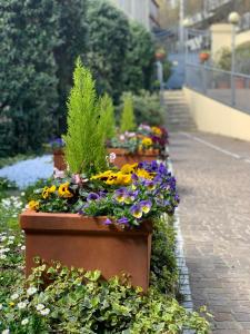 a row of pots of flowers on a sidewalk at Le Residenze dei Serravallo in Trieste