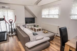 TV a/nebo společenská místnost v ubytování Apartman Hubertus 5*
