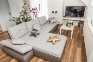 TV a/nebo společenská místnost v ubytování Apartman Hubertus 5*