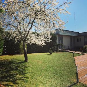 Zahrada ubytování Hotel Villa Cinzia