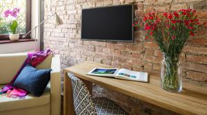 Telewizja i/lub zestaw kina domowego w obiekcie Cracowdays