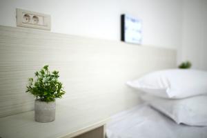 a white bedroom with a potted plant on a table at Casa Margo in Eforie Nord