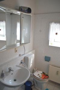 a bathroom with a sink and a toilet and a mirror at Ferienhaus Schuster in Elend