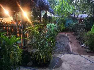 Giardino di Alass Ga For Pets Lovers