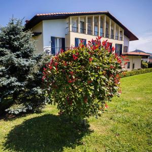 Vonkajšia záhrada v ubytovaní Hotel Ermintxo
