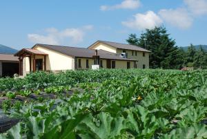 un campo di colture di fronte a una casa di Agriturismo Fiorella a Camigliatello Silano