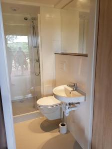 een badkamer met een toilet, een wastafel en een douche bij Country Camp camping de Gulperberg in Gulpen