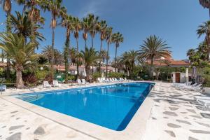 a swimming pool with palm trees and chairs at Central Chayofa in Chayofa