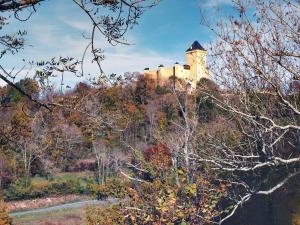 un château au sommet d'une colline plantée d'arbres dans l'établissement GITE LA PEYRADE HAUTES PYRENEES, à Artiguemy