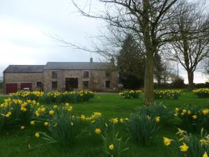 a field of flowers in front of a house at Green Bank Farmhouse in Lancaster