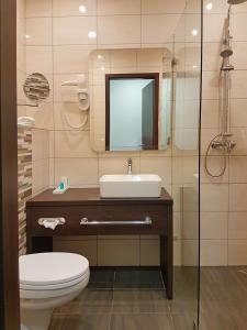La salle de bains est pourvue d'un lavabo, de toilettes et d'un miroir. dans l'établissement Hotel Czinege & Étterem, à Kóka