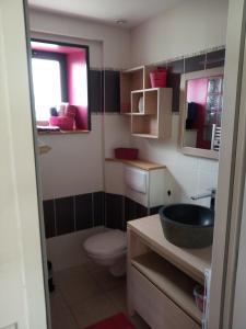 La salle de bains est pourvue d'un lavabo, de toilettes et d'une fenêtre. dans l'établissement GITE LA PEYRADE HAUTES PYRENEES, à Artiguemy