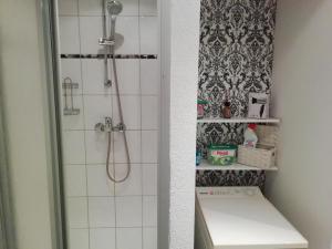 A bathroom at Große Wohnung mit Terrasse im Altstadtzentrum - Ferienwohnung Chiplakoff