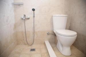 a bathroom with a toilet and a shower at Blue Ocean Apartments in Makry Gialos