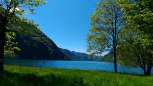 a view of a lake with a tree in the foreground at La Quiete in Ponte Caffaro +7 photos