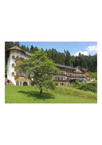 uma árvore num campo em frente a um edifício em Landhotel Basler Hof em Lauterbach