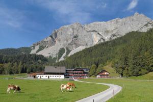 Loodusmaastik of the bed and breakfast lähedal