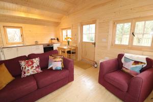 Inisean Lodge log cabin -part of Inisean B&B في دونغلو: غرفة معيشة مع كنبتين أرجوانيتين في كابينة