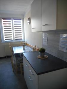 uma cozinha com uma mesa e uma bancada em Rentz Martine em Riquewihr