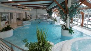 una grande piscina in un edificio con piante di Apartmán Jestřáb č.15 a Janské Lázně