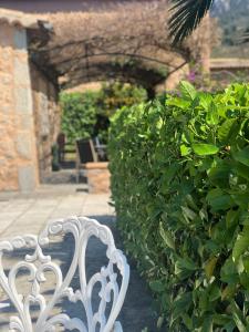 A garden outside Ses llimoneres