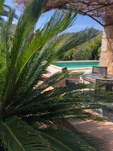 The swimming pool at or close to Ses llimoneres