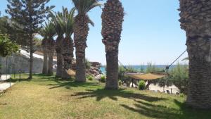 Gallery image of Blue Ocean Apartments in Makry Gialos +47 photos