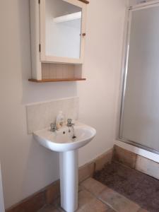 a bathroom with a sink and a shower at The Haven in Portreath