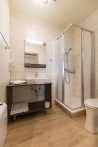 a bathroom with a shower and a sink and a toilet at Weingut & Gästehaus Markus Tschida in Apetlon