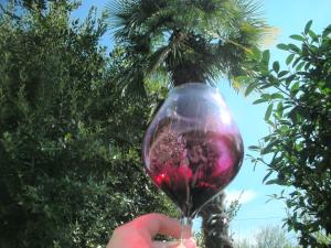 Giardino di Cabernet Tali