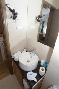 Centar Novi Sad-Apartman No 1 PARKING ON REQUEST في نوفي ساد: حمام مع حوض ومرآة +11 صورة