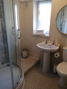 a bathroom with a sink and a toilet and a shower at UPTHEDOWNS B&B in Sevenoaks