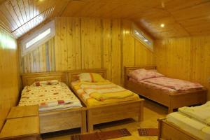 two beds in a room with wooden walls at Ardelean Lake House in Doştat
