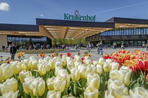 a bunch of flowers in front of a building at Dobberhuisje in Nieuwkoop +25 photos