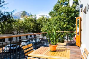 a potted plant sitting on a wooden table on a balcony at Koetsiershuis in Stellenbosch